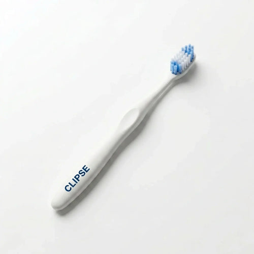Brosse d'entretien CLIPSE
